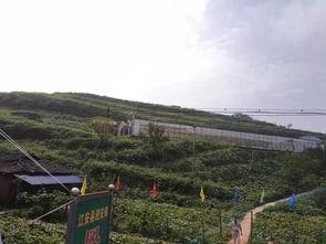 东湖公园吃瓜群众事件始末