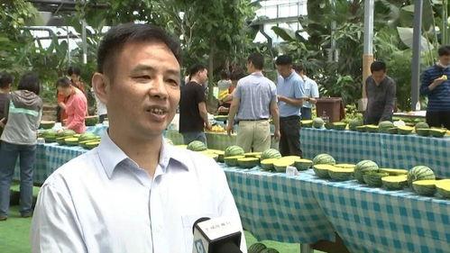 吃瓜群众产瓜专家,揭秘网络舆论场的双面魅力