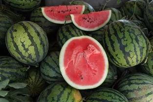 吃瓜群众王某钱币,揭秘王某的收藏传奇