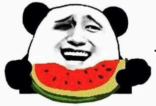 可欣吃瓜群众,吃瓜群众的视角，揭秘娱乐圈风云