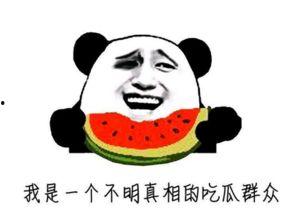 全网最牛的吃瓜群众分享,娱乐圈幕后真相大曝光！