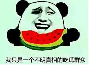 大脸不做吃瓜群众