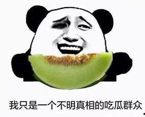 不枉作为一个吃瓜群众,揭秘娱乐圈那些事儿