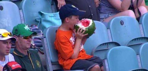 吃瓜群众看球赛是真的吗,揭秘“吃瓜群众”看球赛的真相与乐趣