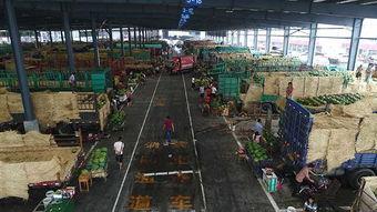 青岛楼市吃瓜群众,吃瓜群众视角下的风云变幻