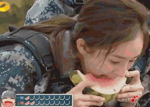 吃瓜群众变成怪兽了,揭秘瓜田里的怪兽传奇