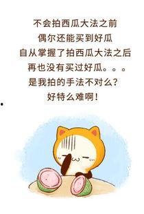 吃瓜群众被拒绝怎么办,吃瓜群众如何优雅应对？
