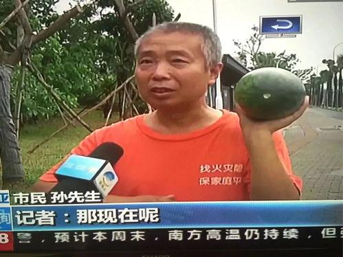 吃瓜群众爆炸事件,揭秘网络舆论的狂欢与反思