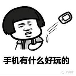 爱看剧的吃瓜群众是真的吗,爱看剧的吃瓜群众，真相究竟如何？