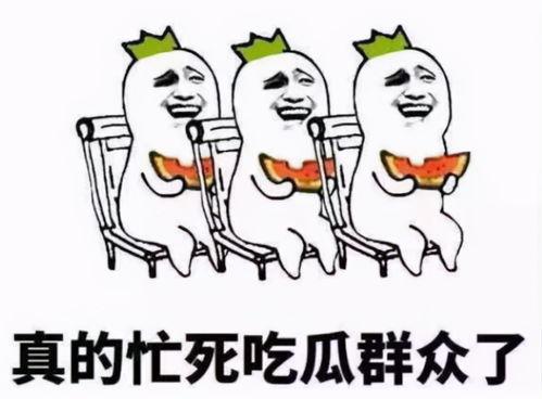 观察中的吃瓜群众,吃瓜群众的热情与智慧