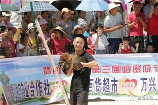 爱国吃瓜群众心得体会,见证时代变迁，共筑民族复兴