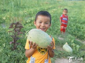 吃瓜群众外国小孩视频,萌态可掬引网友热议