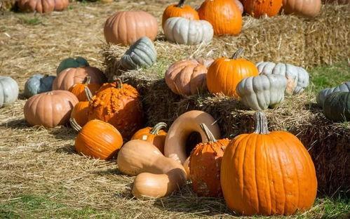 韩城吃瓜群众合集,揭秘街头巷尾的热辣话题