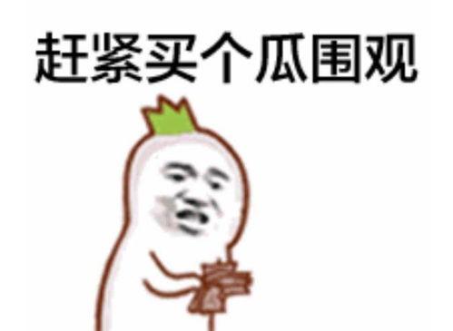 王豪豪吃瓜群众是真的吗,吃瓜群众的真实身份揭秘