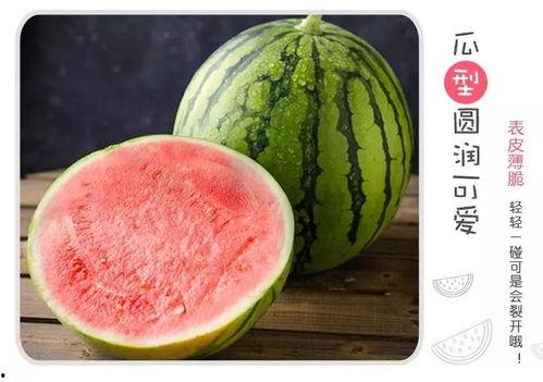 大口吃西瓜的吃瓜群众,揭秘网络热议背后的众生相