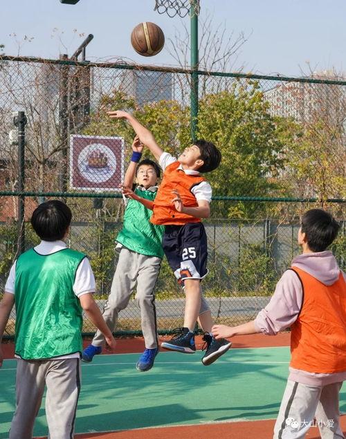 吃瓜群众的篮球是什么,激情与荣耀的竞技舞台