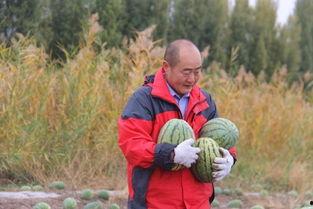 吃瓜群众小太爷是谁,吃瓜群众小太爷的崛起之路