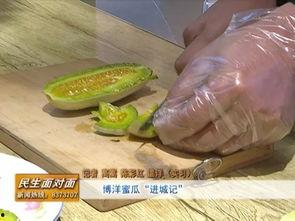 寻找吃瓜群众特色活动,揭秘“吃瓜群众”特色活动盛宴