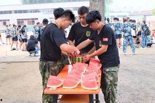 伊朗边境吃瓜群众事件,一场意外引发的舆论风暴