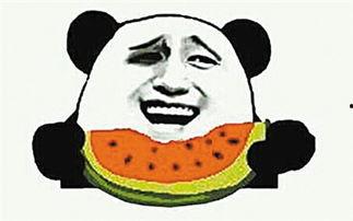 群众看春天吃瓜视频,跟随群众镜头感受春天的甜蜜滋味