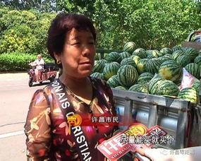 严打吃瓜群众怎么处理好,如何平衡舆论监督与公民权益