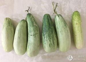 吃瓜群众的经验分享