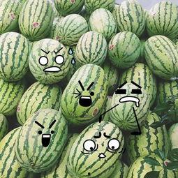 答对有奖吃瓜群众问答,趣味问答带你瓜界畅游