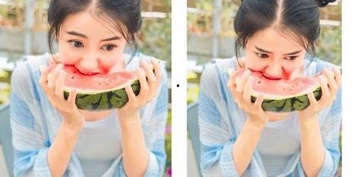 十二生肖吃瓜群众的那些,趣味解读生肖背后的故事