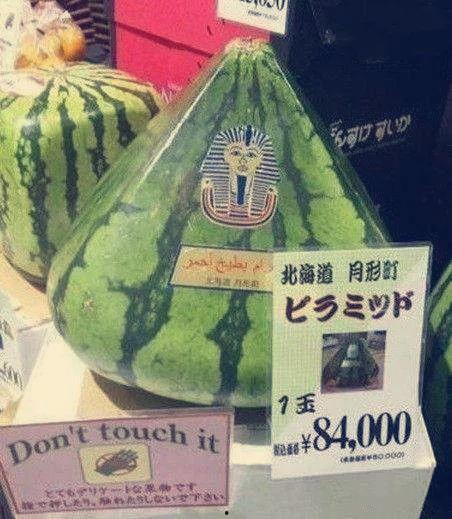 世界最强吃瓜群众小说,揭秘娱乐圈背后的秘密风云