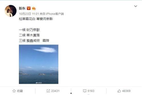 吃瓜群众有看法的小说有哪些,那些引发热议的小说佳作