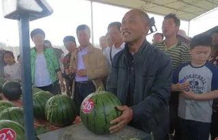 昆工吃瓜群众事件,校园舆论风波背后的真相与反思